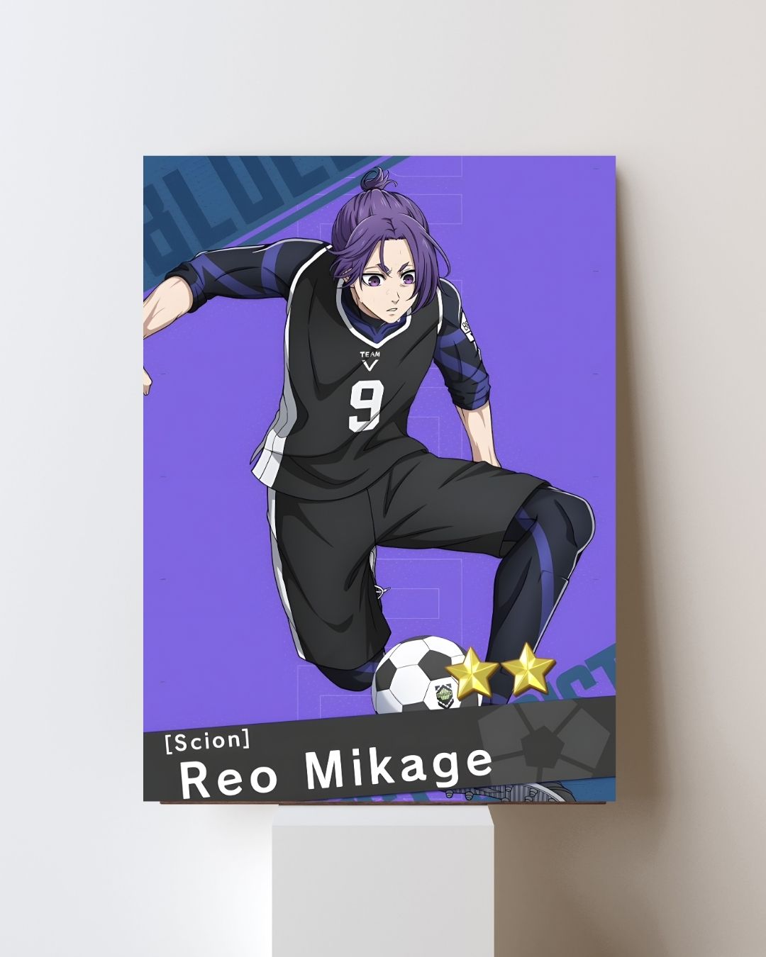 REO POSTER 5