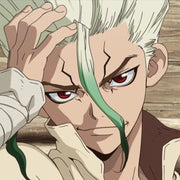 Dr. Stone