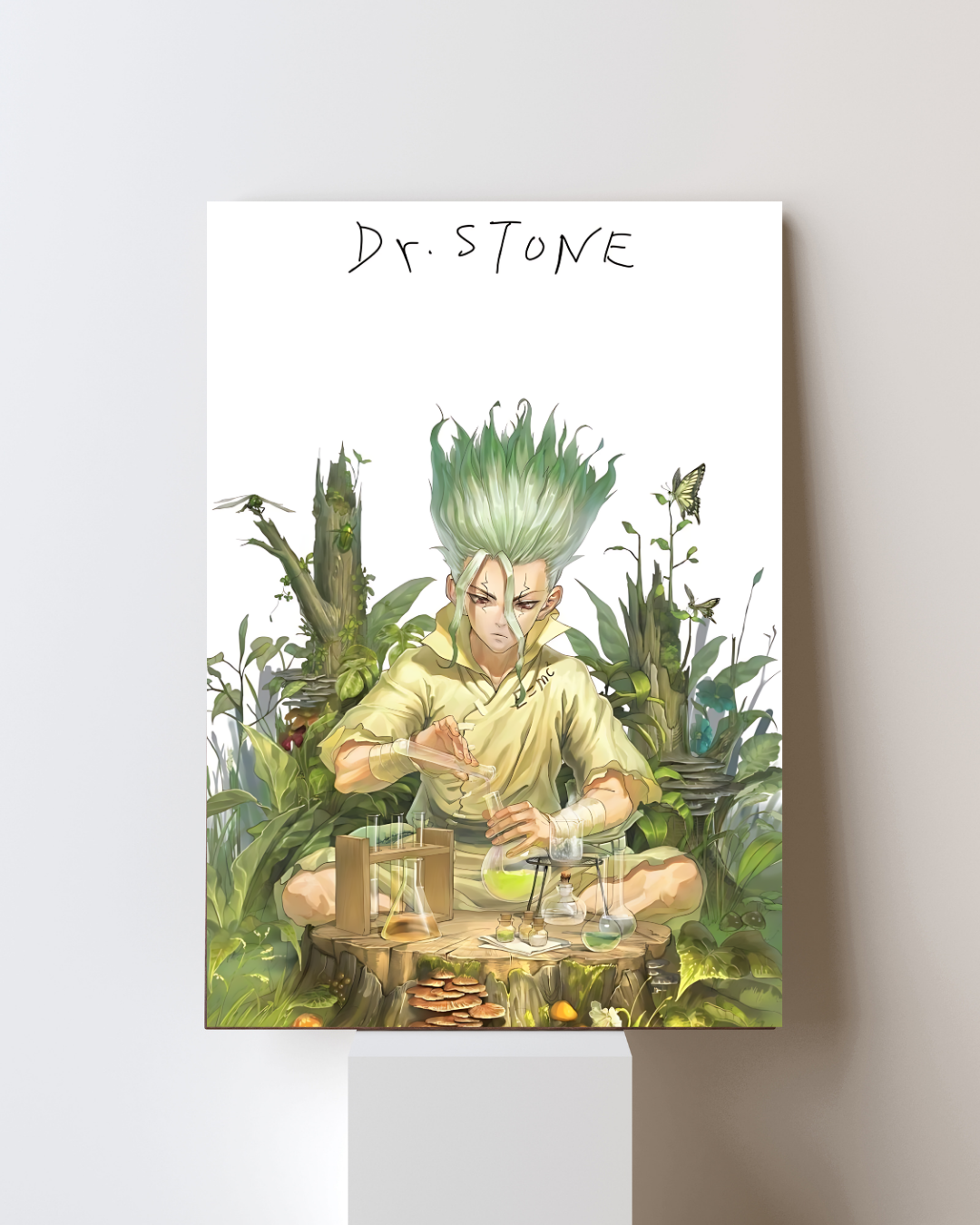 DR. STONE POSTER 10