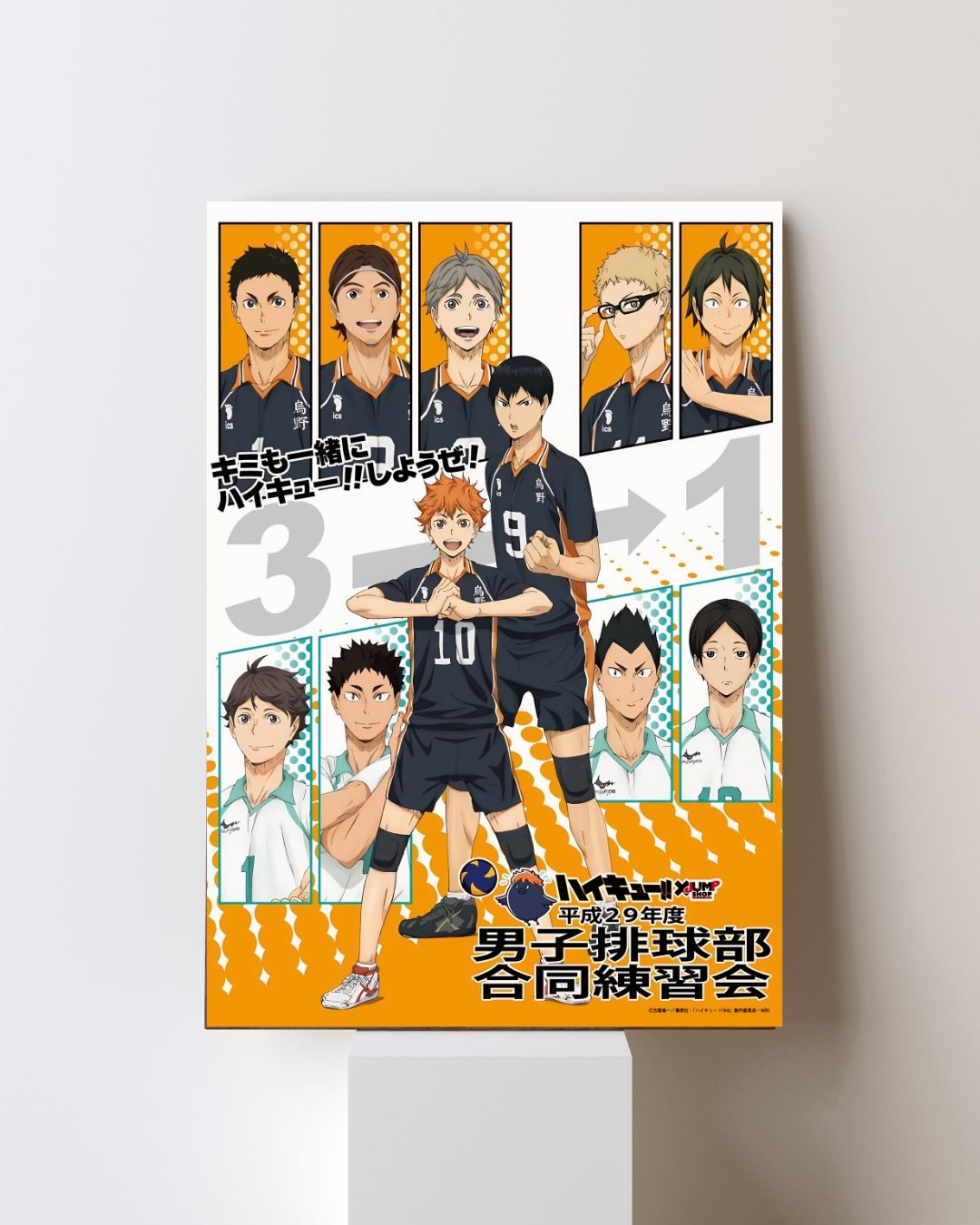 HAIKYUU!! POSTER 05