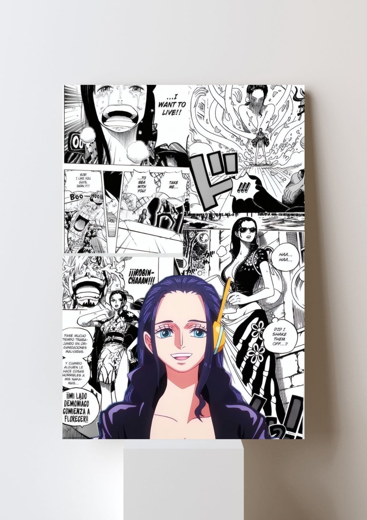 ROBIN POSTER 12