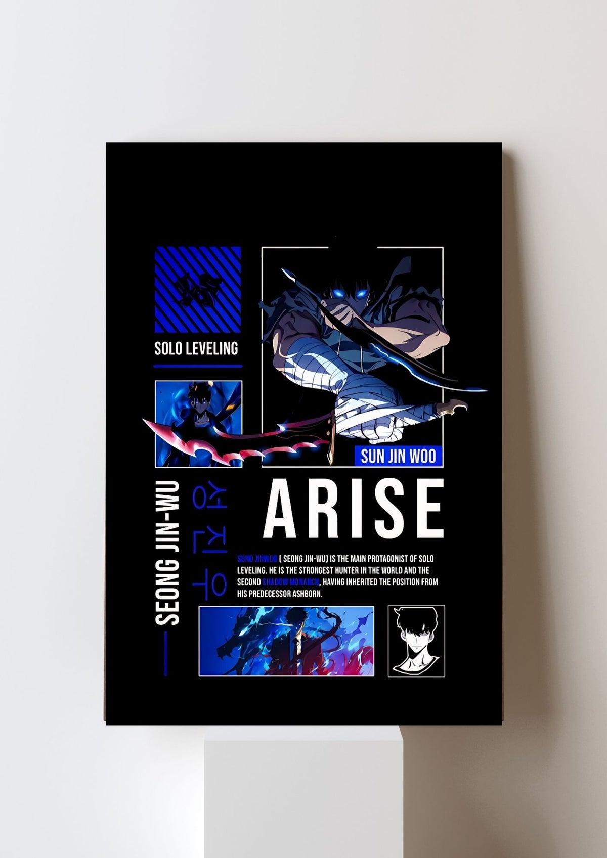 SOLO LEVELING POSTER 58