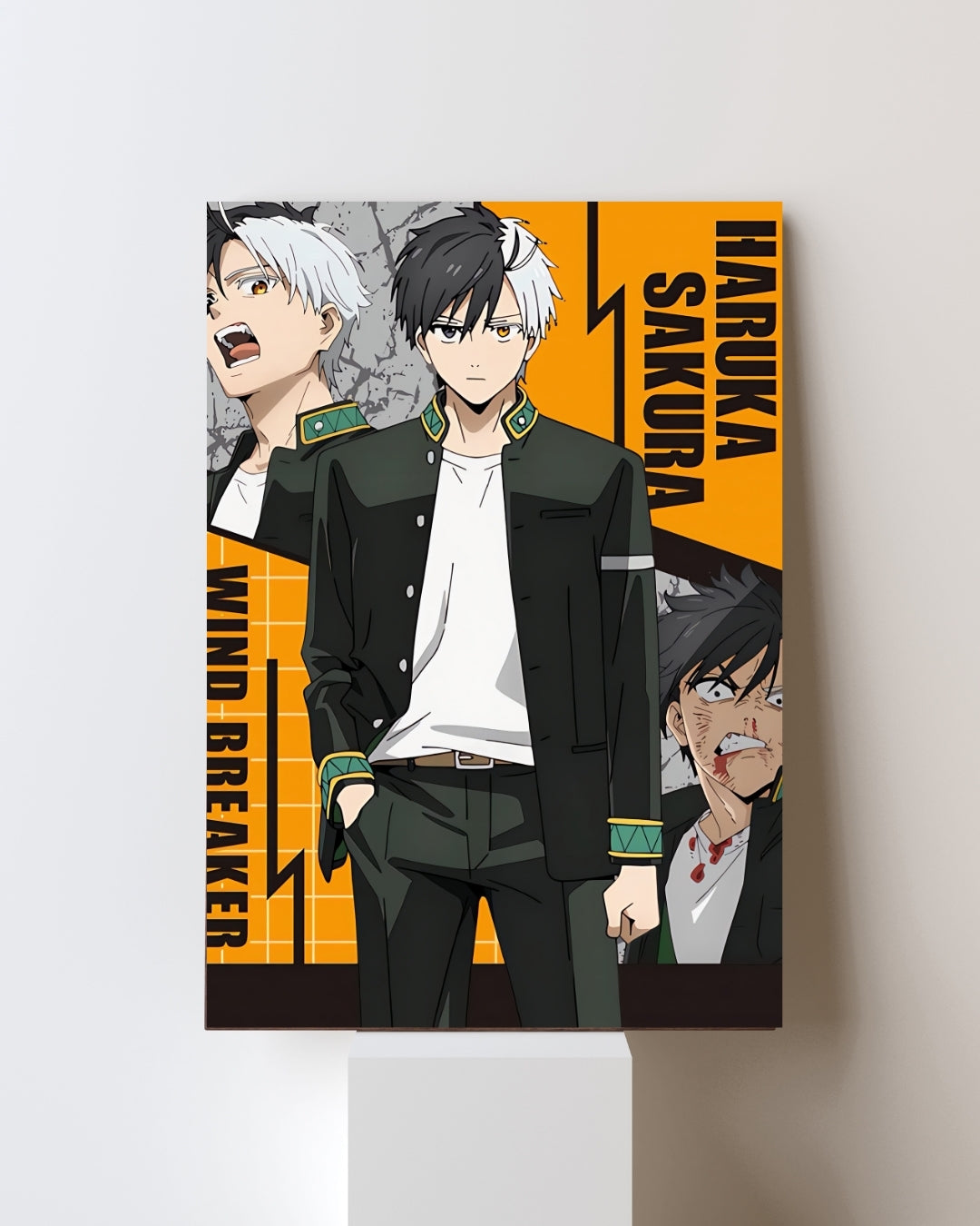 WIND BREAKER POSTER 01