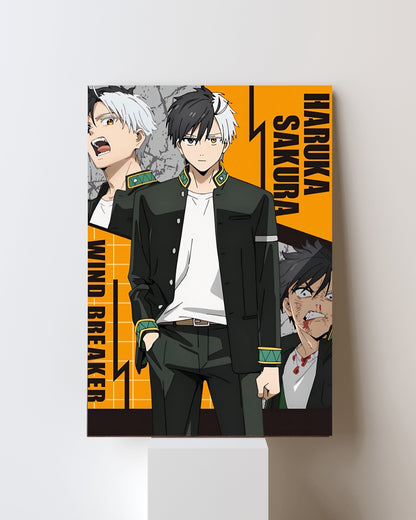 WIND BREAKER POSTER 01