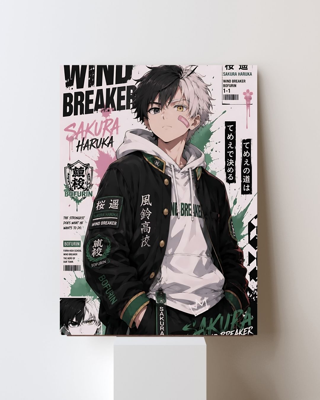 WIND BREAKER POSTER 13