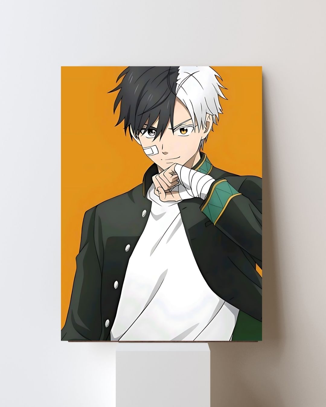 WIND BREAKER POSTER 14